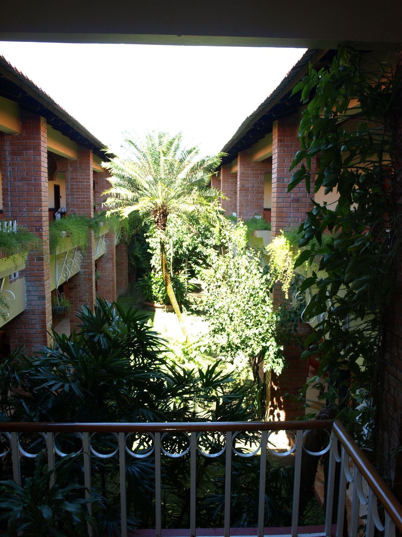 Hotel La Quinta La Ceiba Extérieur photo